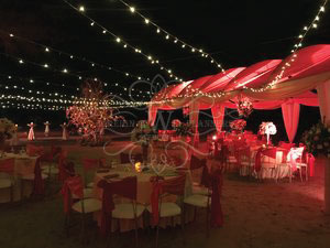indian-wedding-planners-middle-east-dubai-nri-best-organizers-specialist-neha-mehrotra-fwp-team.jpg